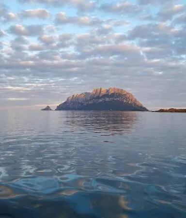 アパート Il Mare A Due Passi! Porto Istana